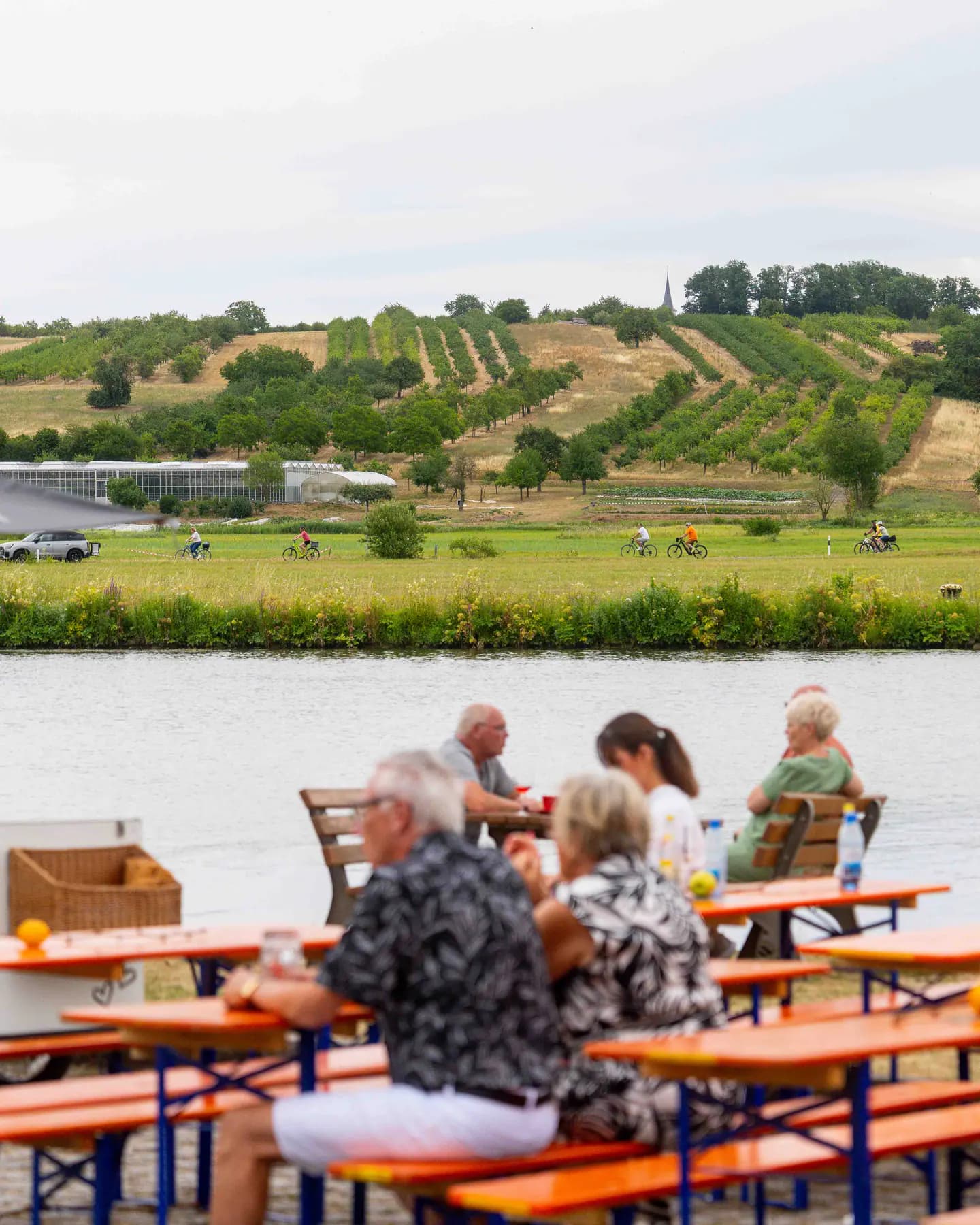Wein am Main Wipfeld 2025 — Foto 96